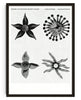 Cargar imagen en el visor de la galería, cyclical beings contemporary wall art print by Imo Sinclair - sold by DROOL