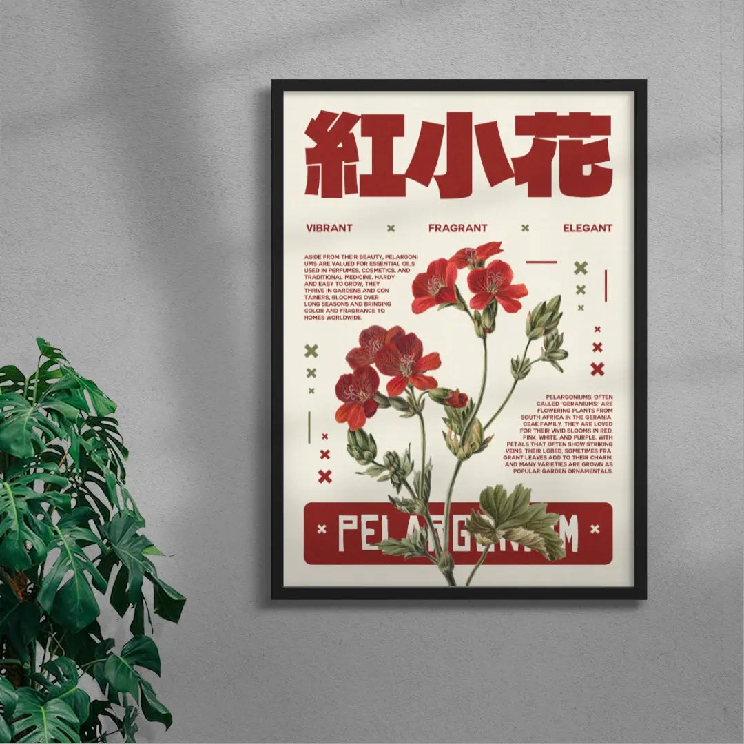 Pelargonium poster