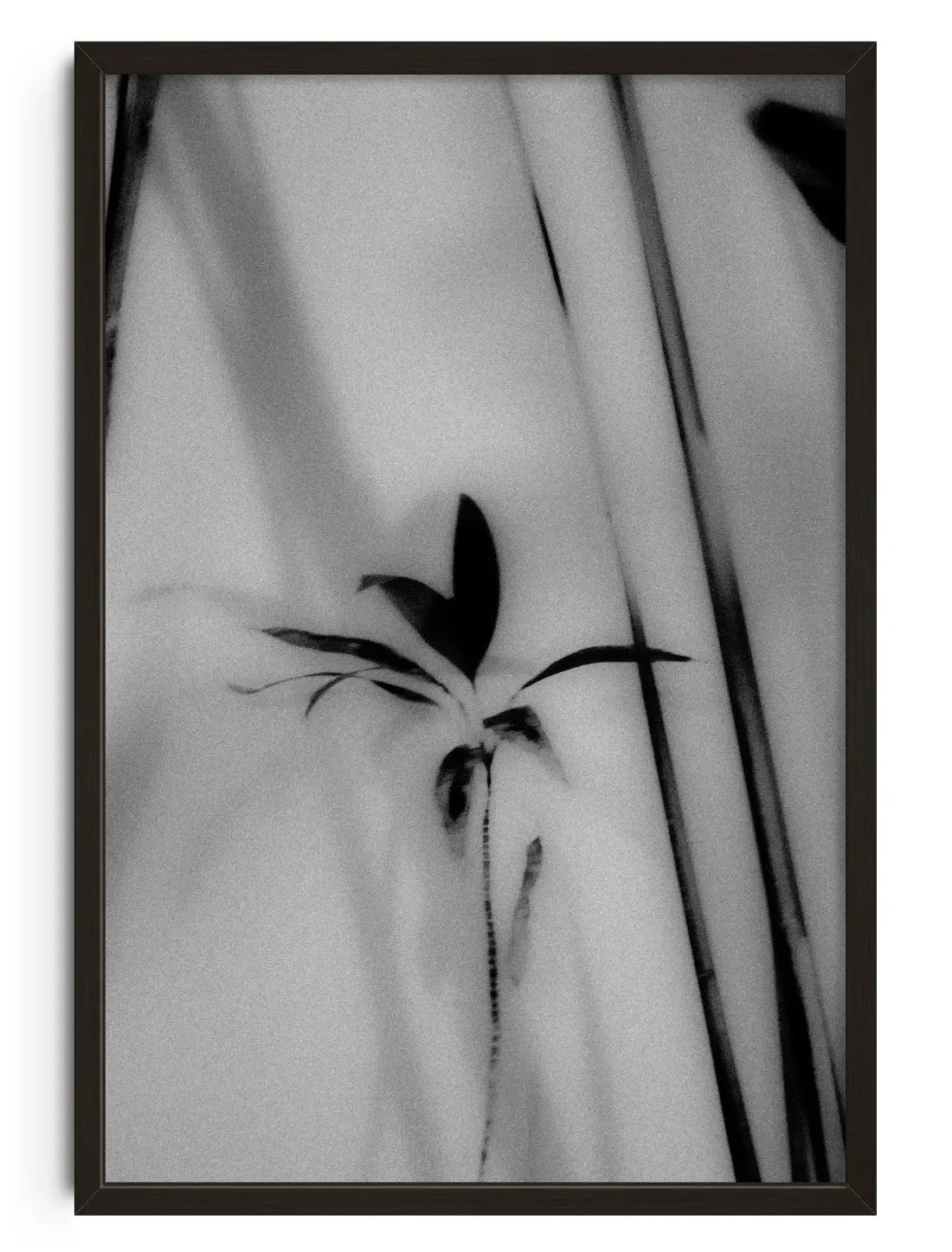 Silhouetted Plant contemporary wall art print by Laura James - sold by DROOL