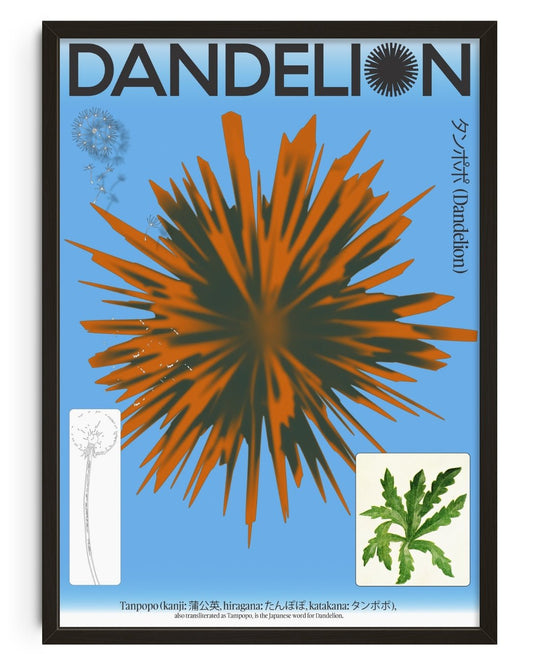 Dandelion