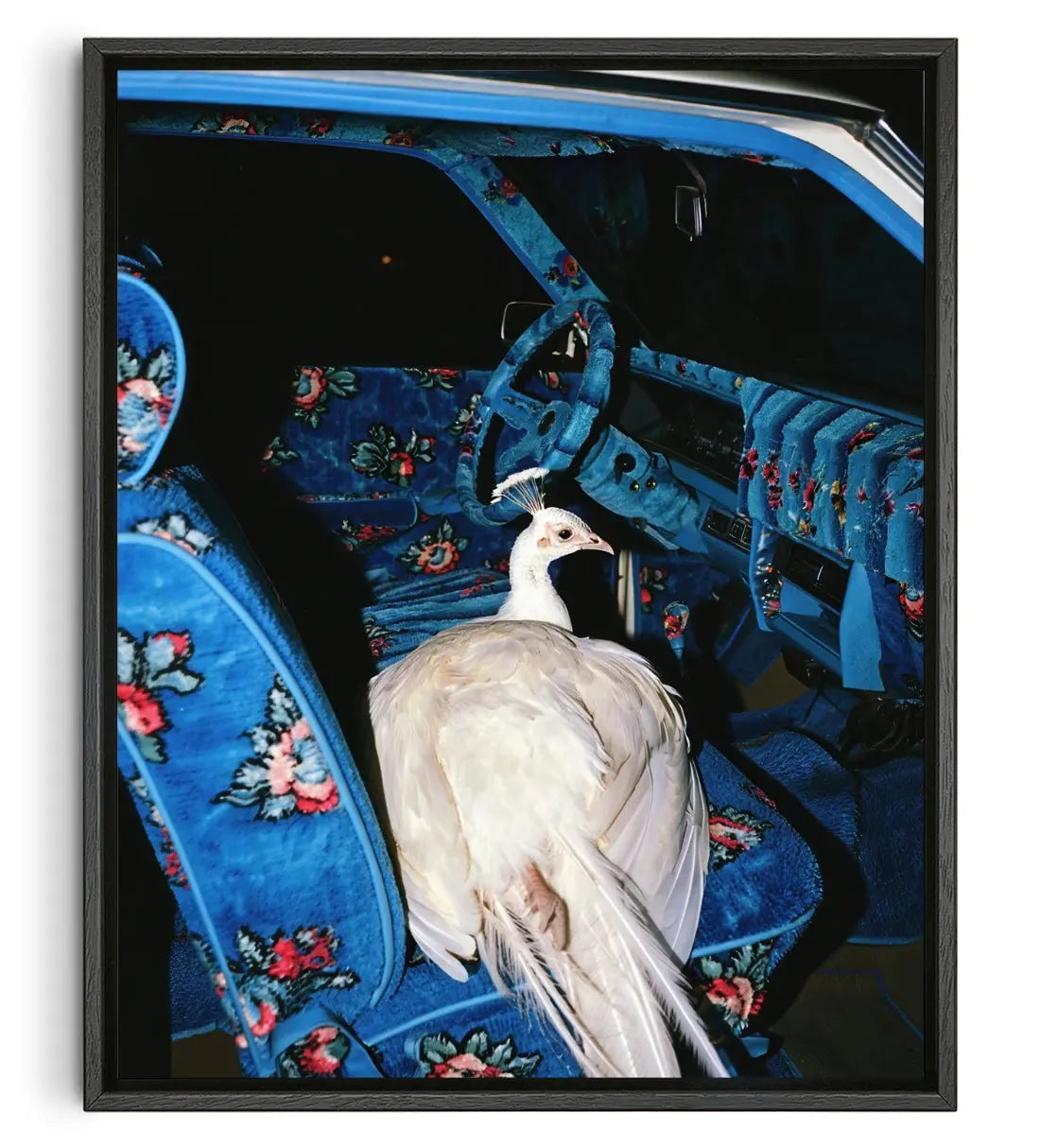 GO WHERE YOU GO. contemporary wall art print by Ces XC - sold by DROOL