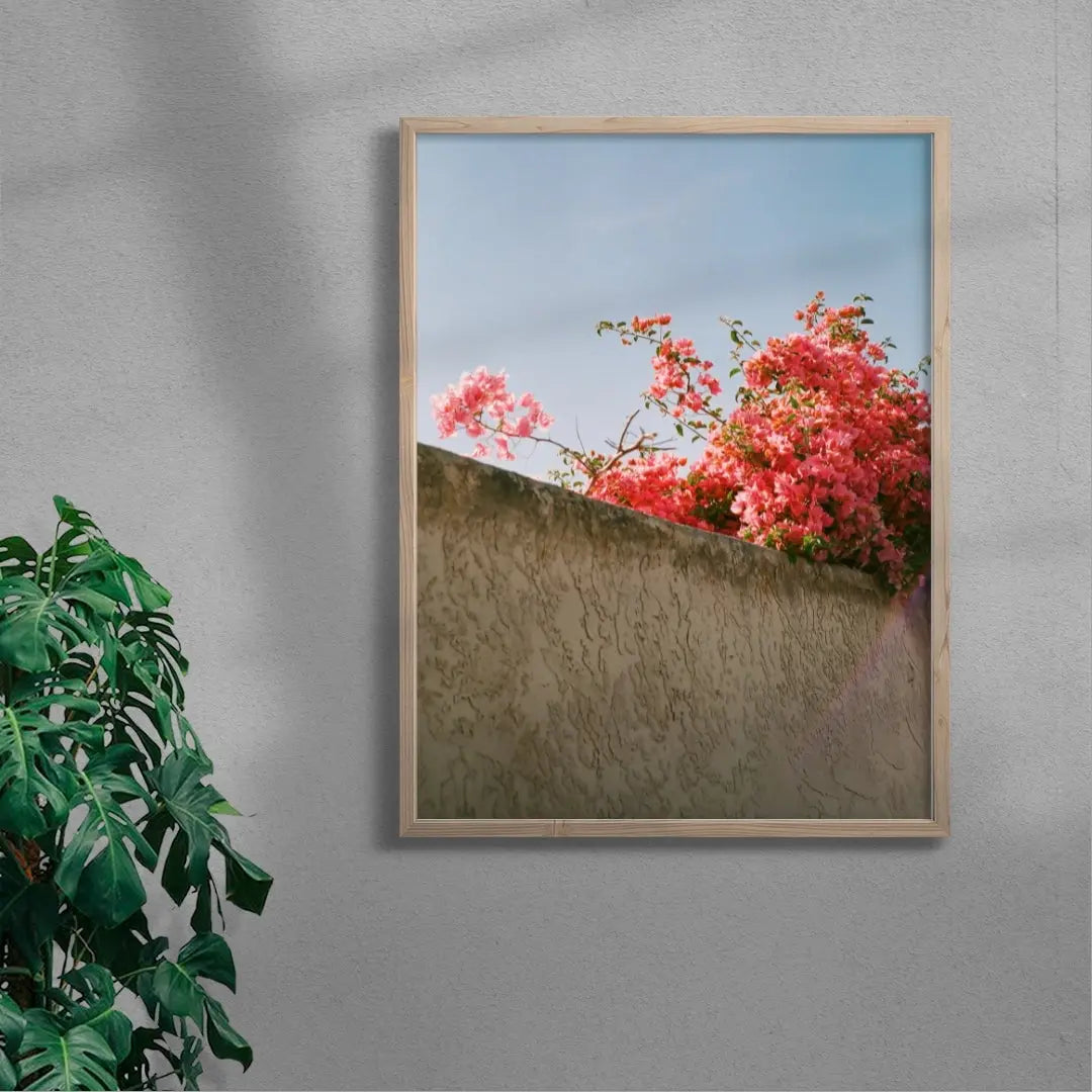 Pink Bloom contemporary wall art print by Brandon Chau - sold by DROOL