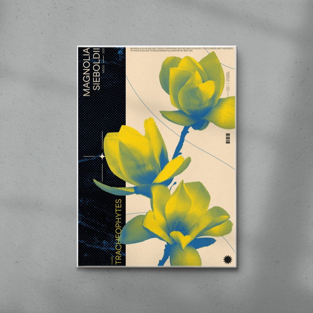 Magnolia contemporary wall art print by MEDG - sold by DROOL