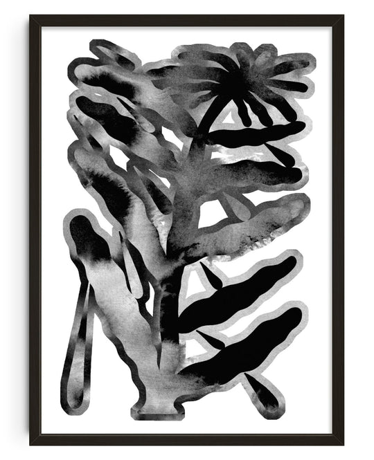 The Flower and the drops