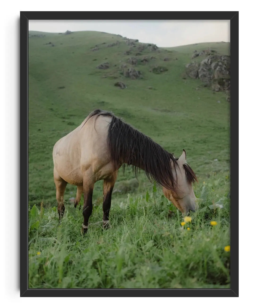 GRAZE contemporary wall art print by Megan Rogers - sold by DROOL