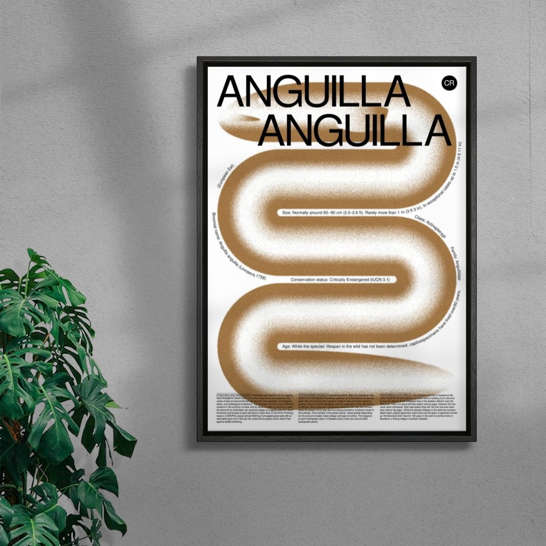 Anguilla contemporary wall art print by Studio Trikken - sold by DROOL