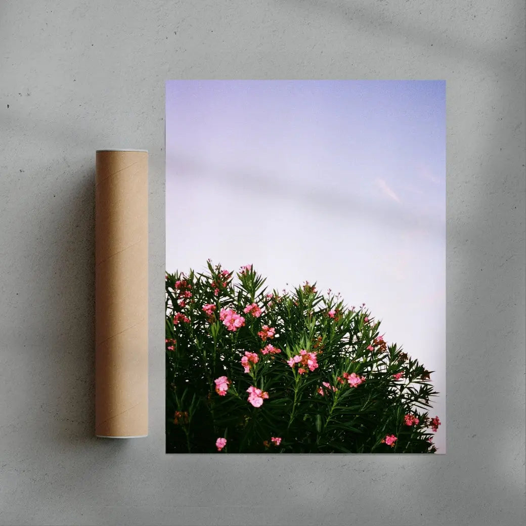 Pink Blossoms contemporary wall art print by Sebastian Wolf - sold by DROOL