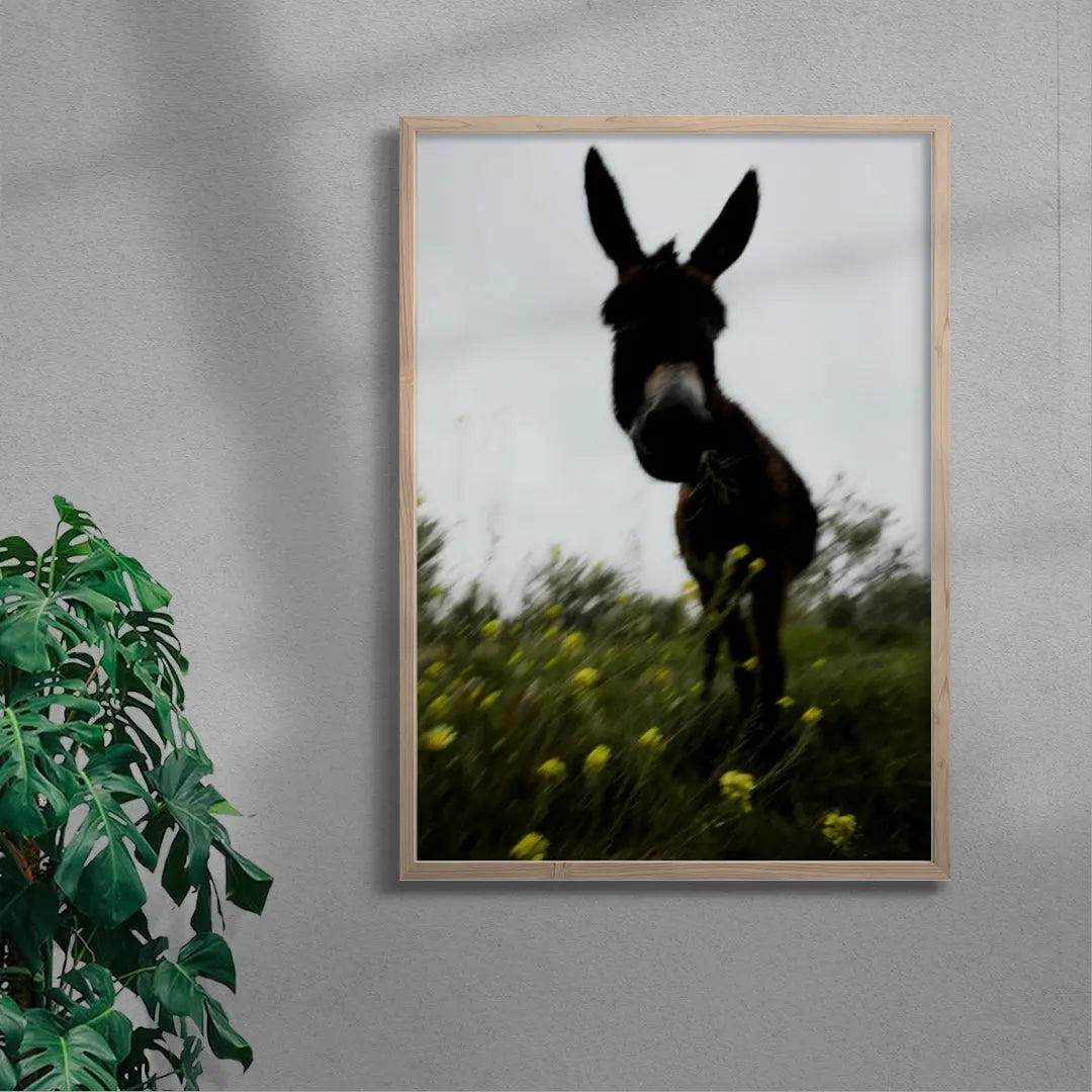 Morning Donkey contemporary wall art print by Omar Belattar - sold by DROOL