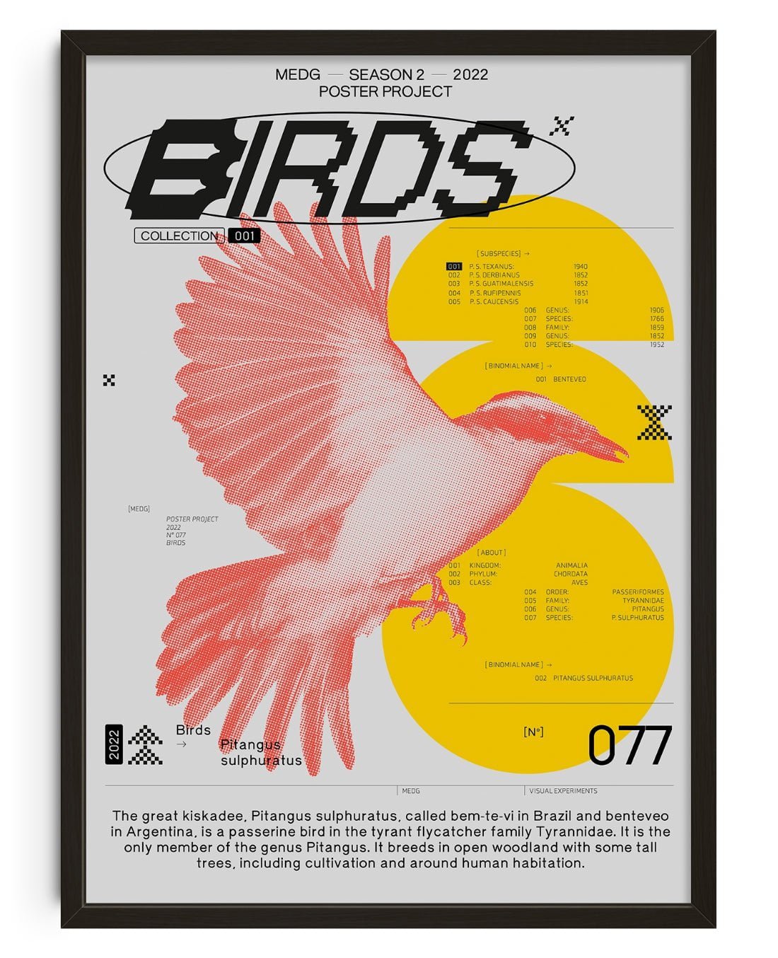 Birds contemporary wall art print by MEDG - sold by DROOL