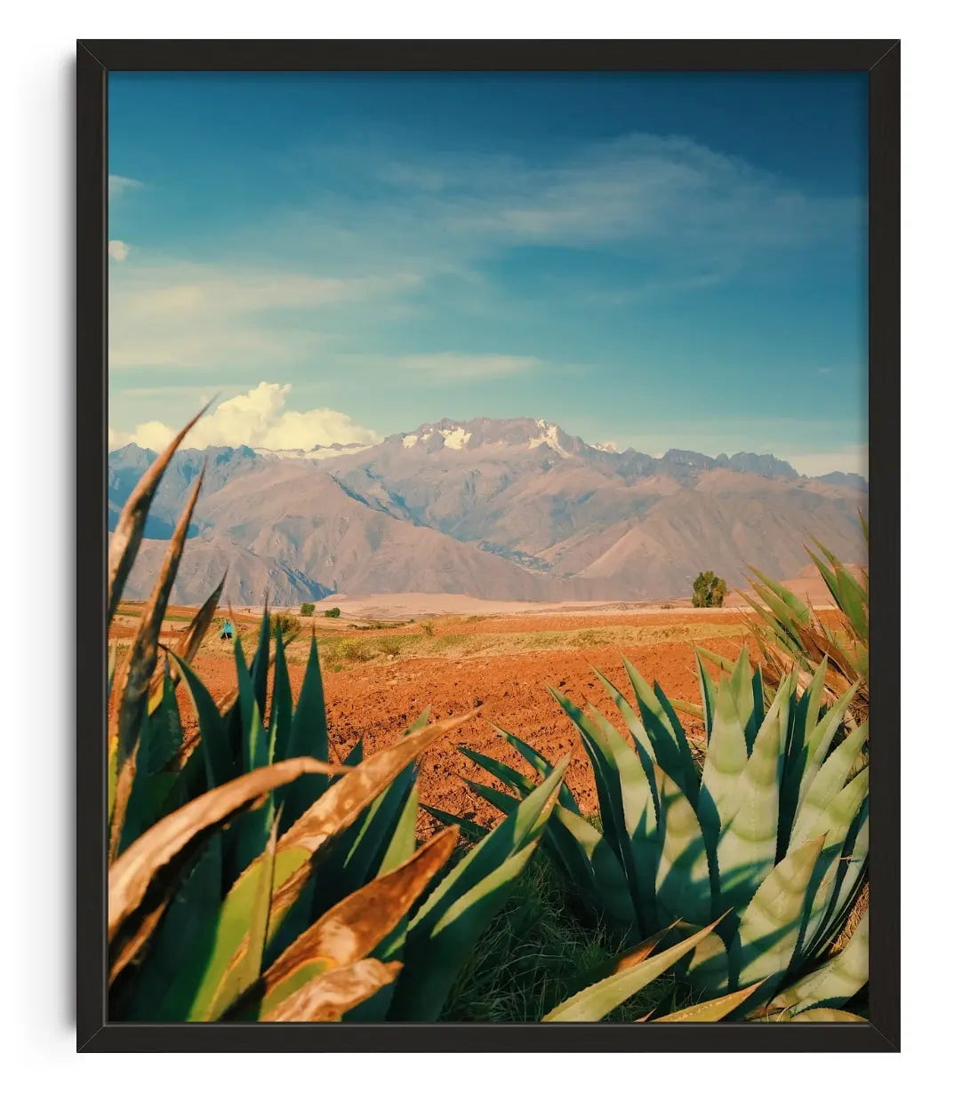 Desert Peak contemporary wall art print by Mandy Sham - sold by DROOL