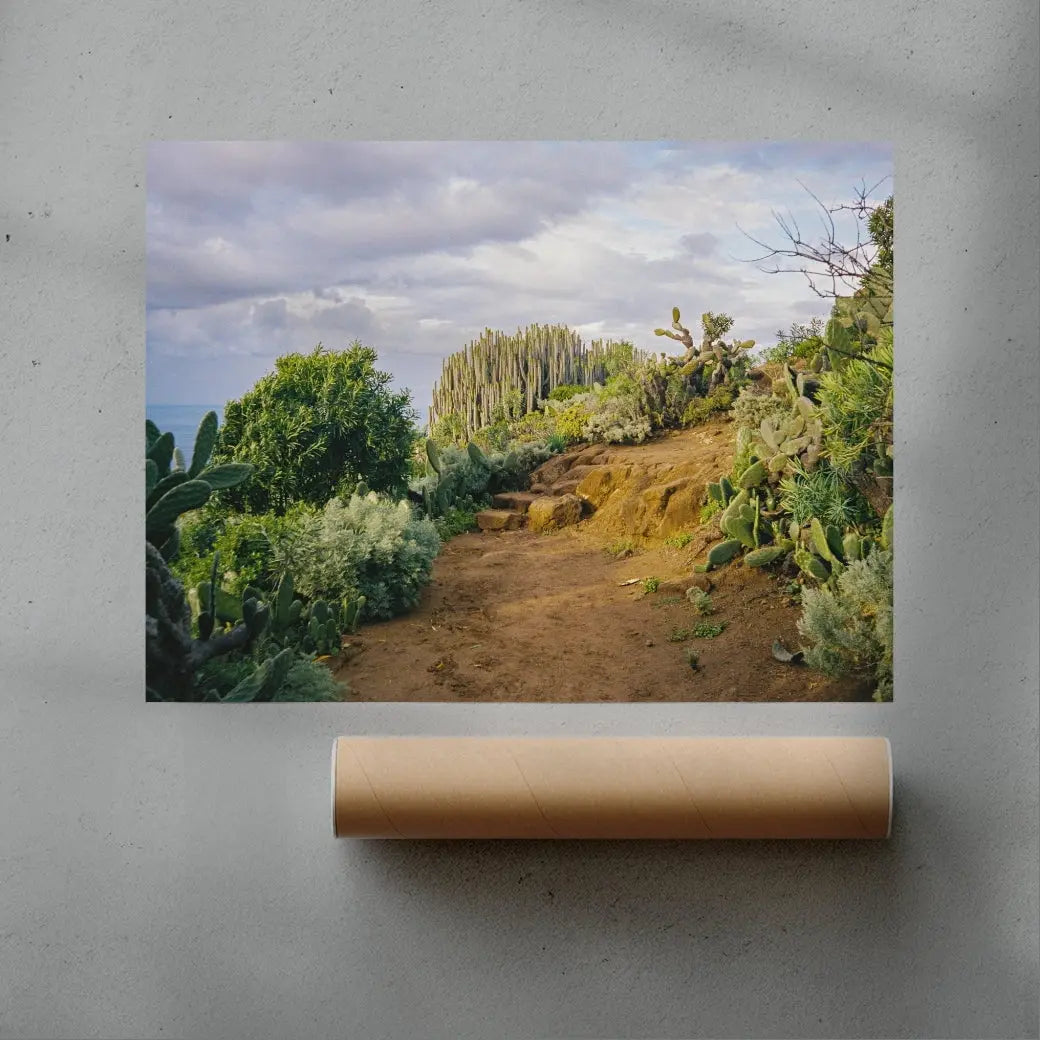 Cactus Path contemporary wall art print by Jade Stephens - sold by DROOL