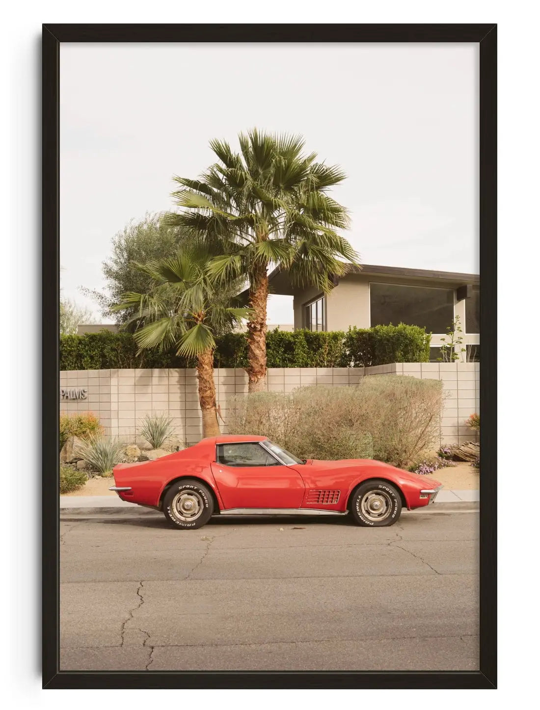Corvette contemporary wall art print by Steven Clouse - sold by DROOL