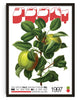 Two Apples contemporary wall art print by George Kempster - sold by DROOL