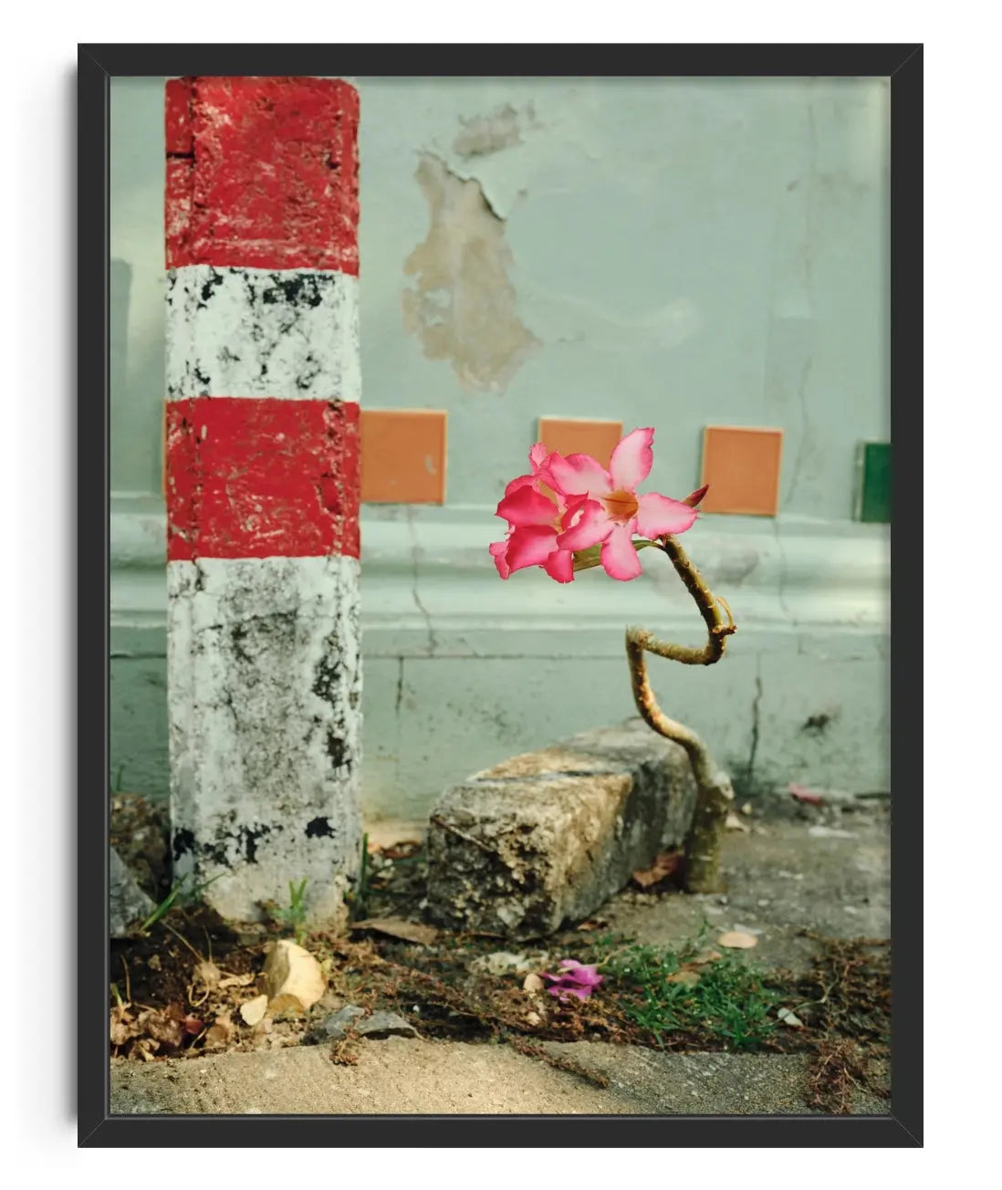 Persistence contemporary art print by Julian Zerressen - sold by DROOL