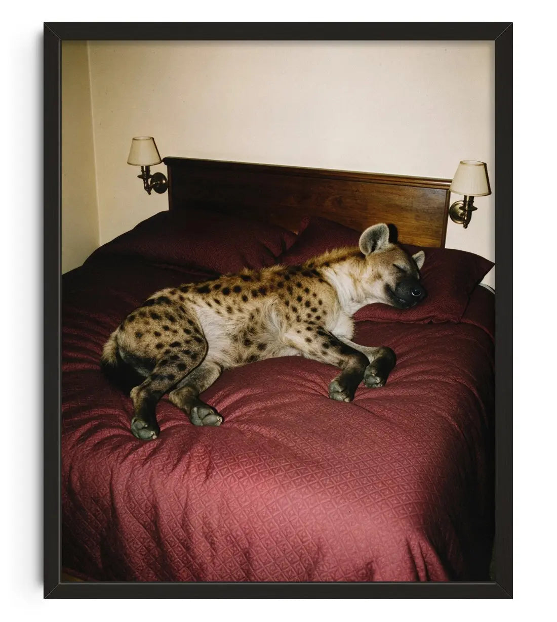 SLEEPER BUILD. contemporary art print by Ces XC - sold by DROOL