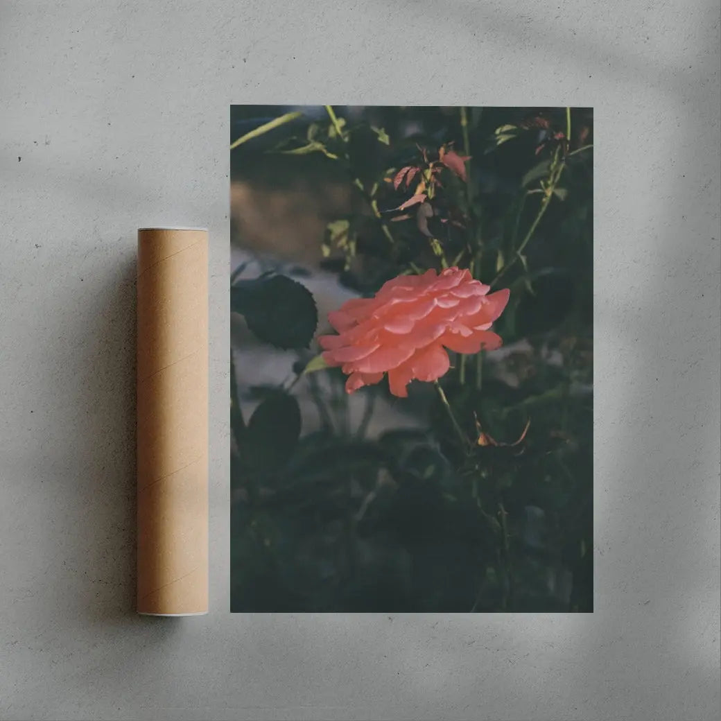 Thorn contemporary wall art print by Esther Galvan - sold by DROOL