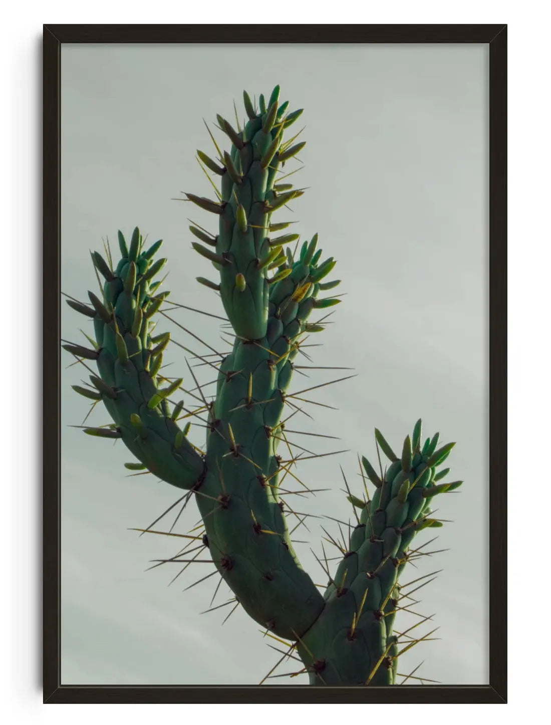 Spines contemporary wall art print by Omar Belattar - sold by DROOL