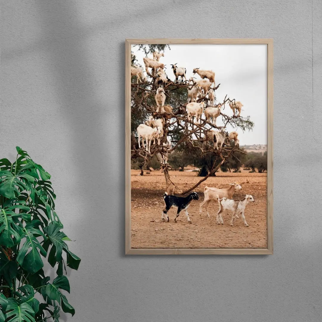 Goats contemporary wall art print by Bonnie Coumbe - sold by DROOL