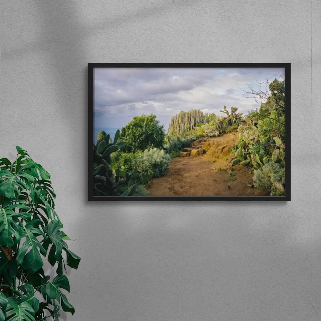 Cactus Path contemporary wall art print by Jade Stephens - sold by DROOL