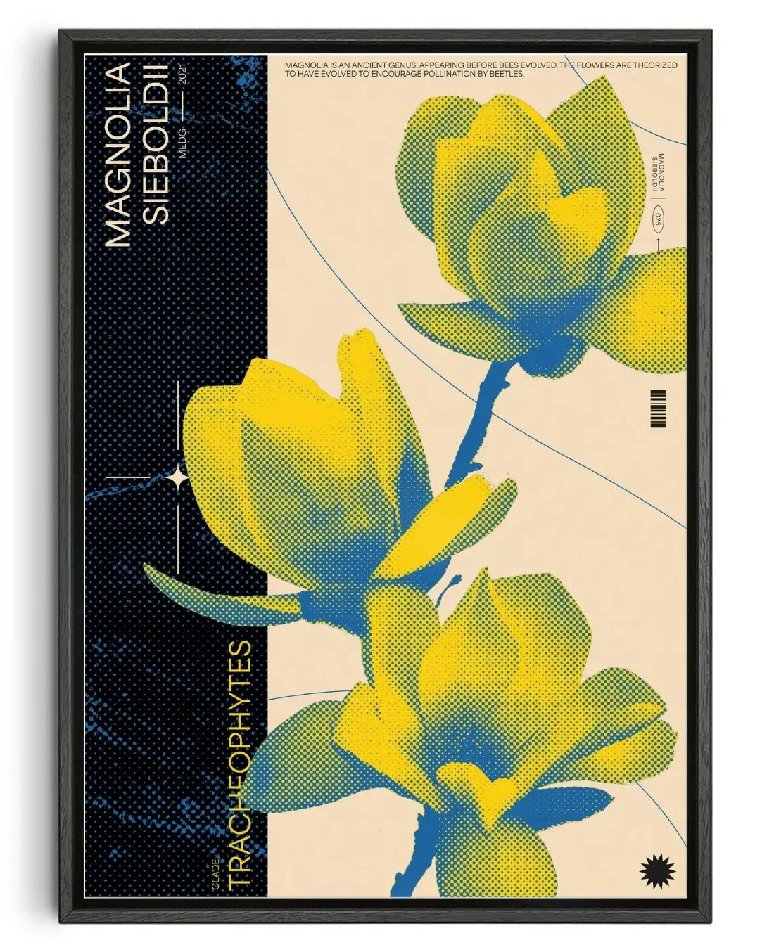 Magnolia contemporary wall art print by MEDG - sold by DROOL