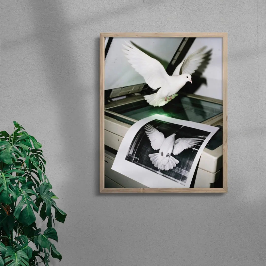 DOVE COPY.