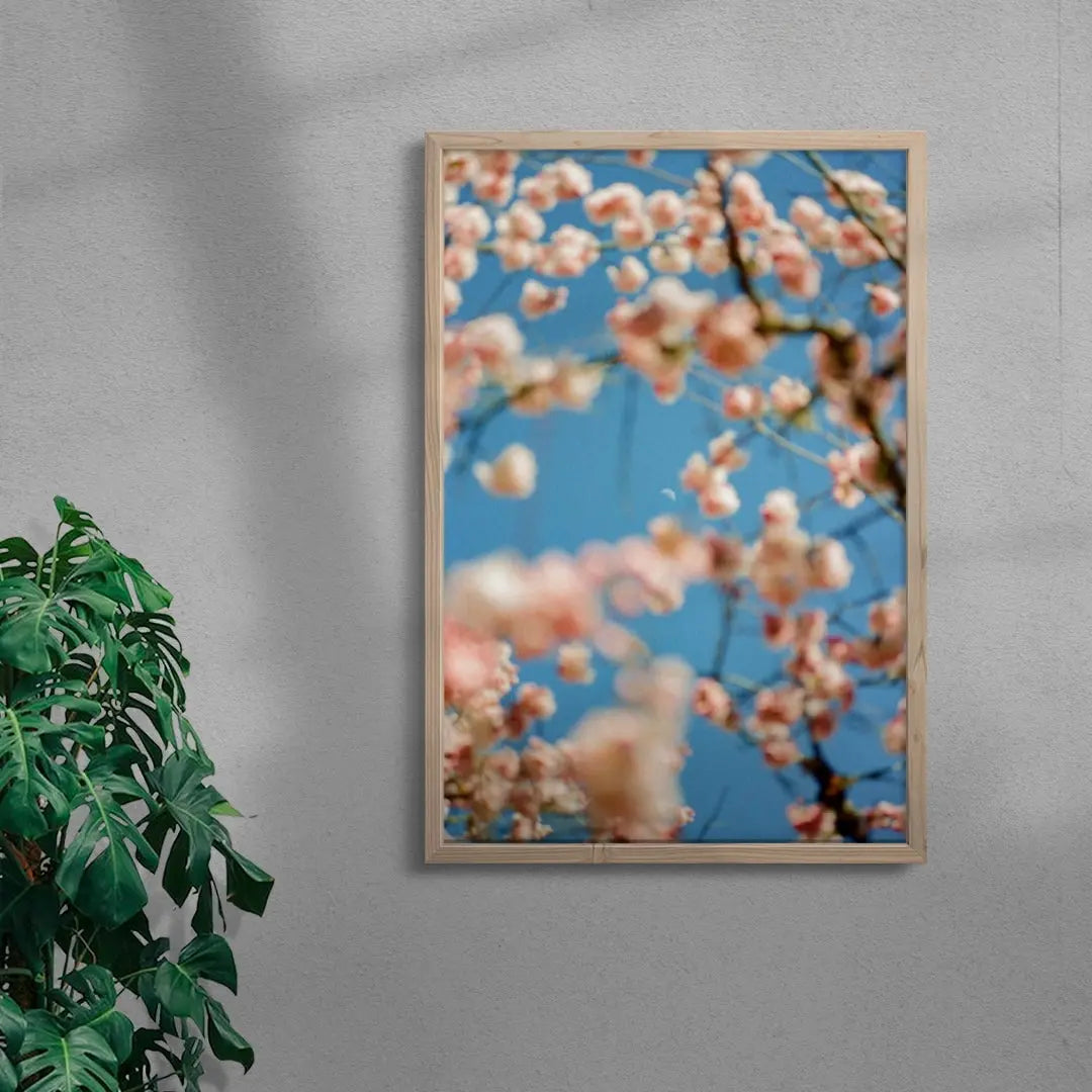 Cherrry Blossom contemporary wall art print by Kelsey Gallagher - sold by DROOL