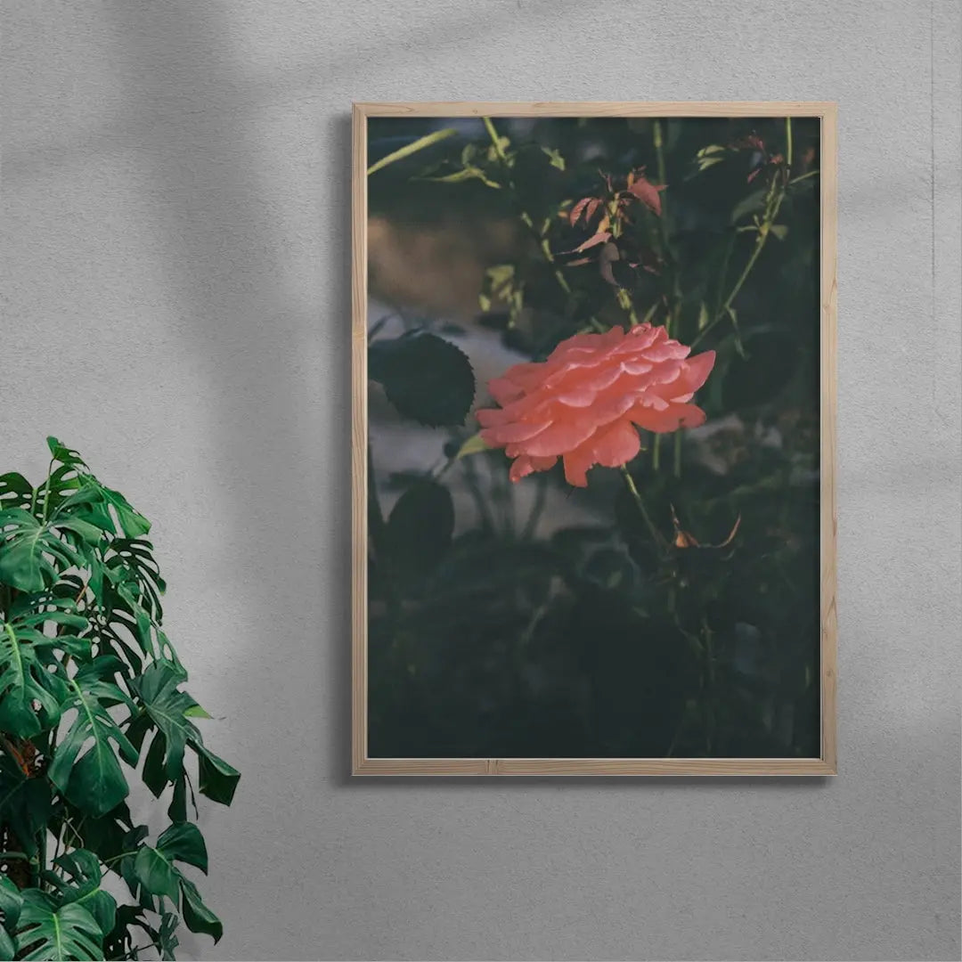 Thorn contemporary wall art print by Esther Galvan - sold by DROOL