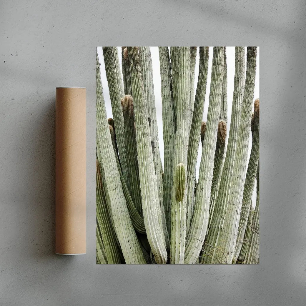 Spike contemporary wall art print by Rebecca Newman - sold by DROOL