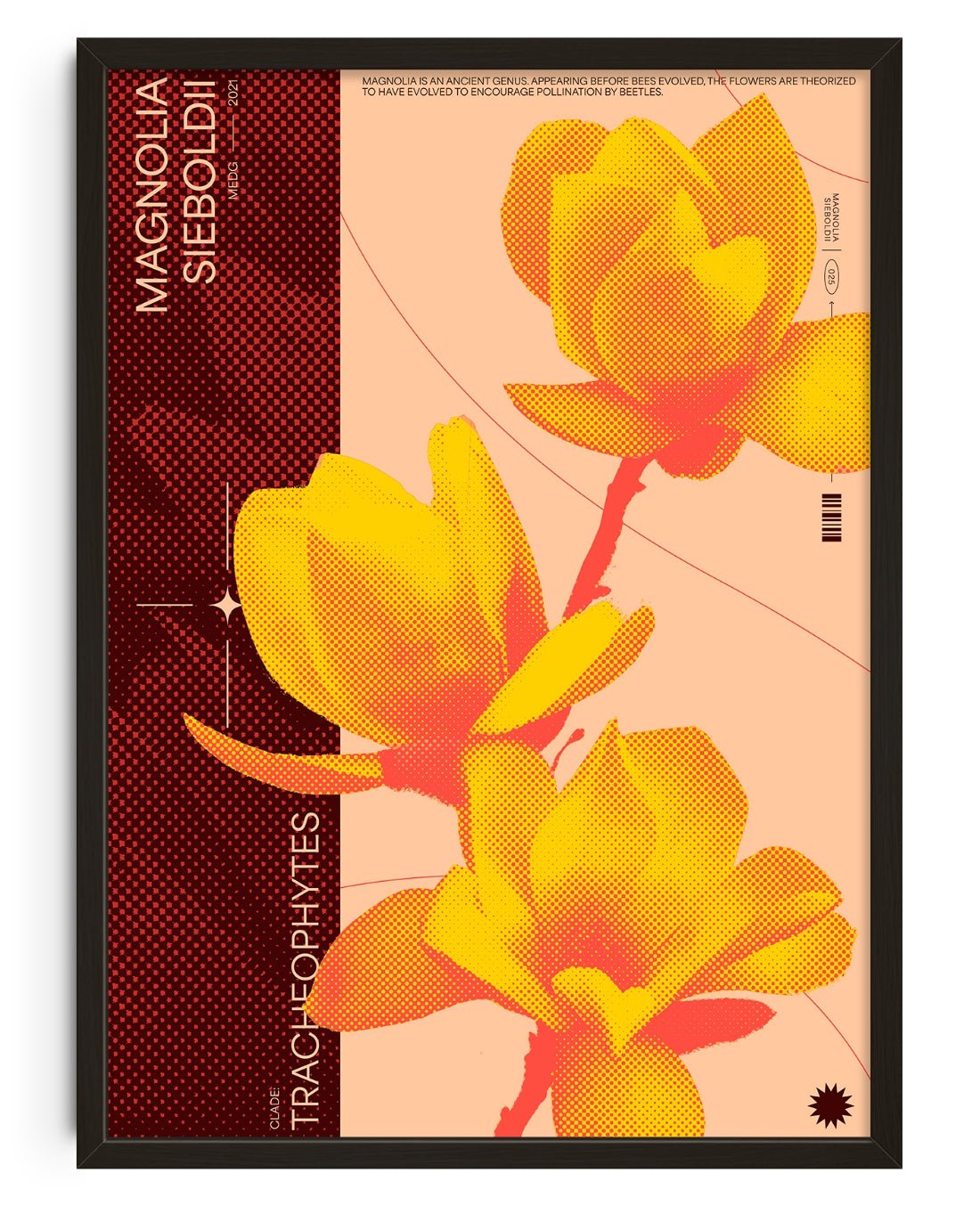 Magnolia contemporary wall art print by MEDG - sold by DROOL