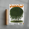 Willow Tree - UNFRAMED contemporary wall art print by George Kempster - sold by DROOL