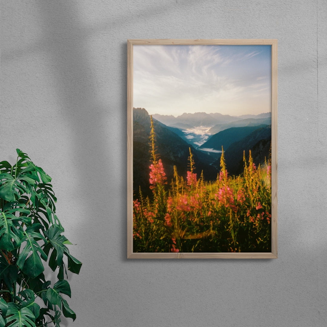 Wildflower contemporary wall art print by Jade Stephens - sold by DROOL