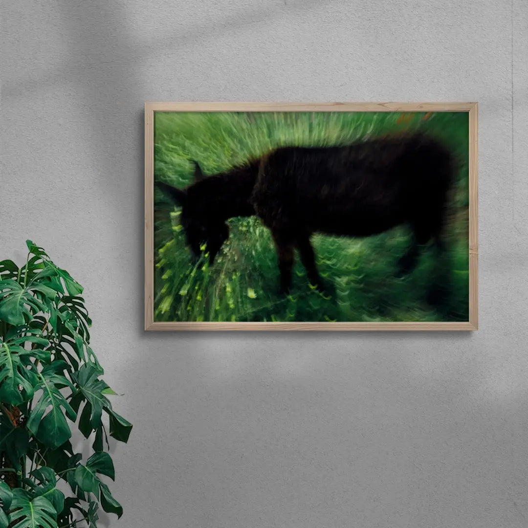 Grazing Donkey contemporary wall art print by Omar Belattar - sold by DROOL