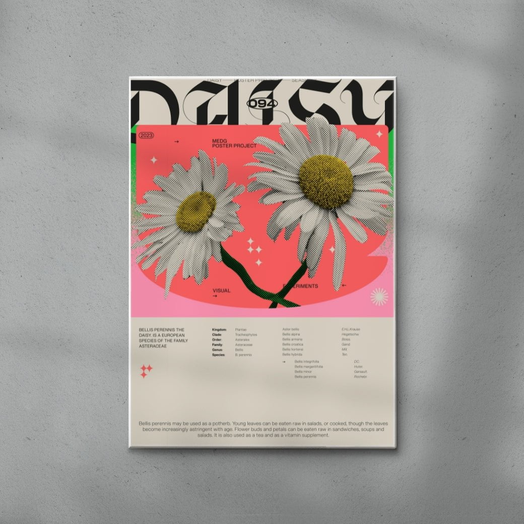 Daisy contemporary wall art print by MEDG - sold by DROOL