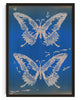Bild in Galerie-Viewer laden, Flutter contemporary wall art print by KBAR studio - sold by DROOL