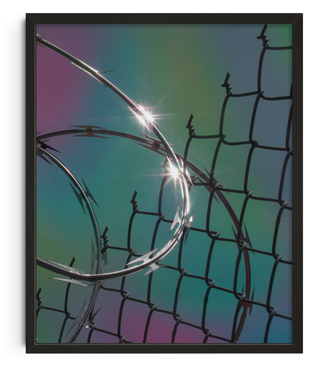 Between the Razor Wire contemporary wall art print by Jacob Mitchell - sold by DROOL