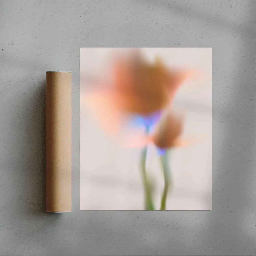 Orange Flower contemporary wall art print by Federico Sánchez - sold by DROOL
