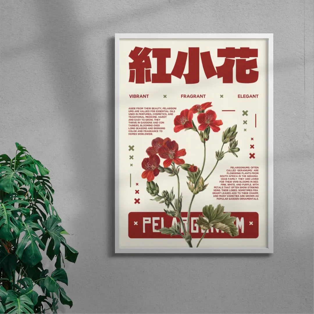 Pelargonium poster