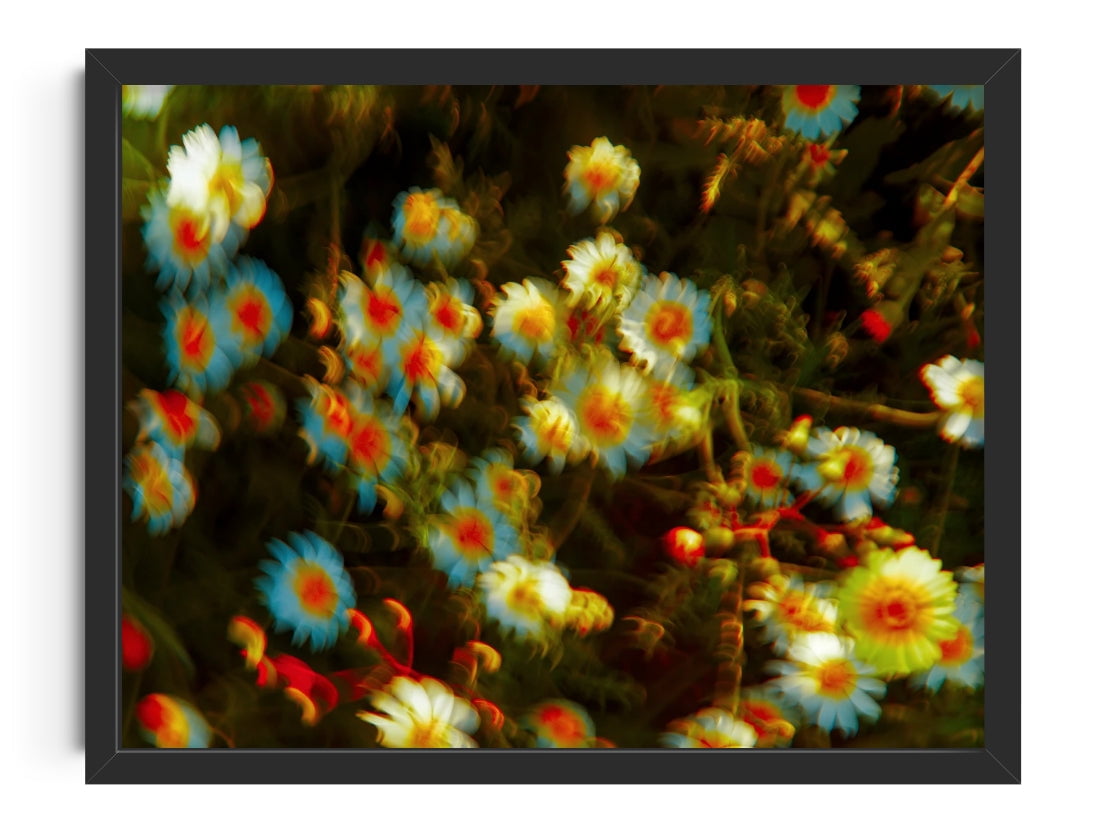 July contemporary wall art print by Omar Belattar - sold by DROOL