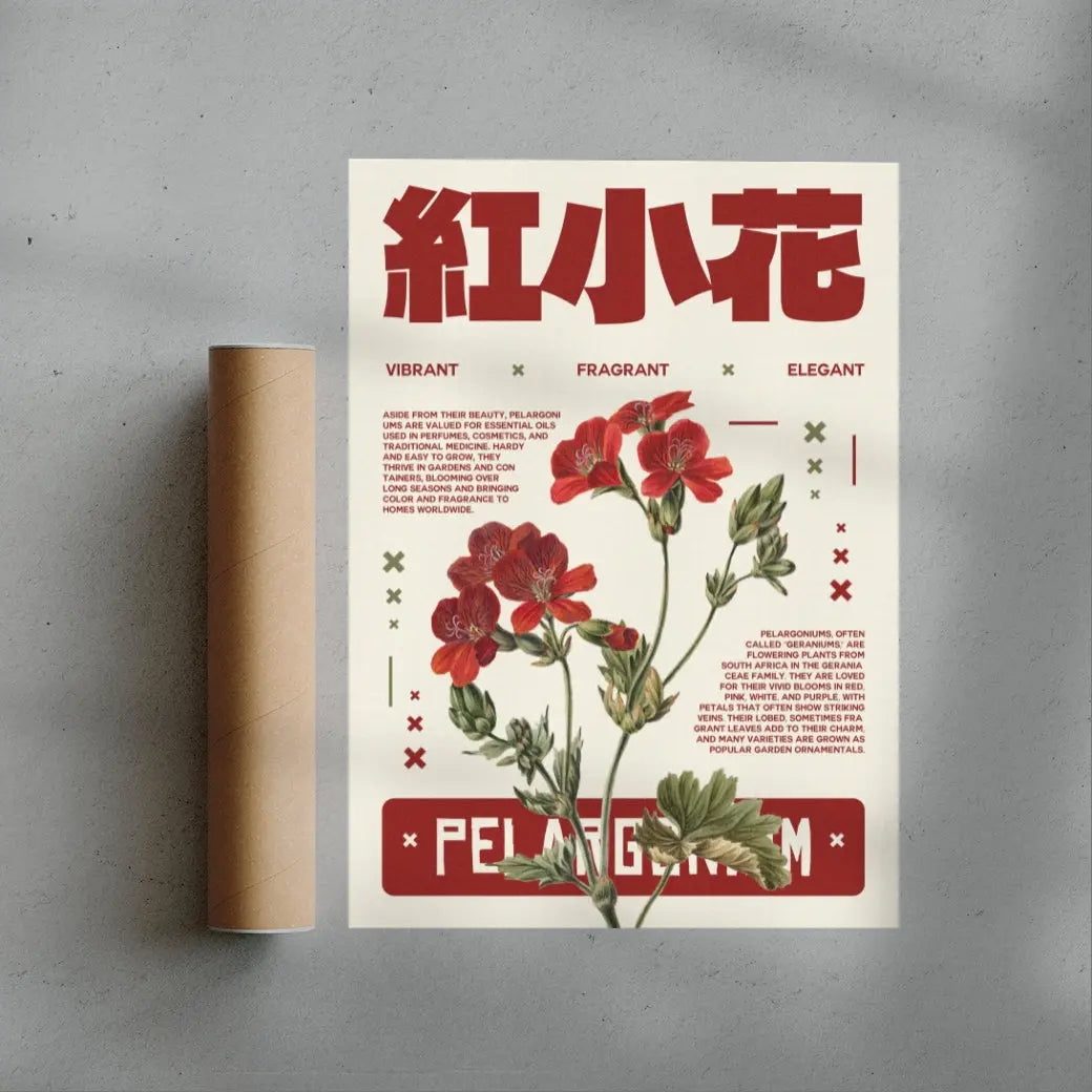 Pelargonium poster