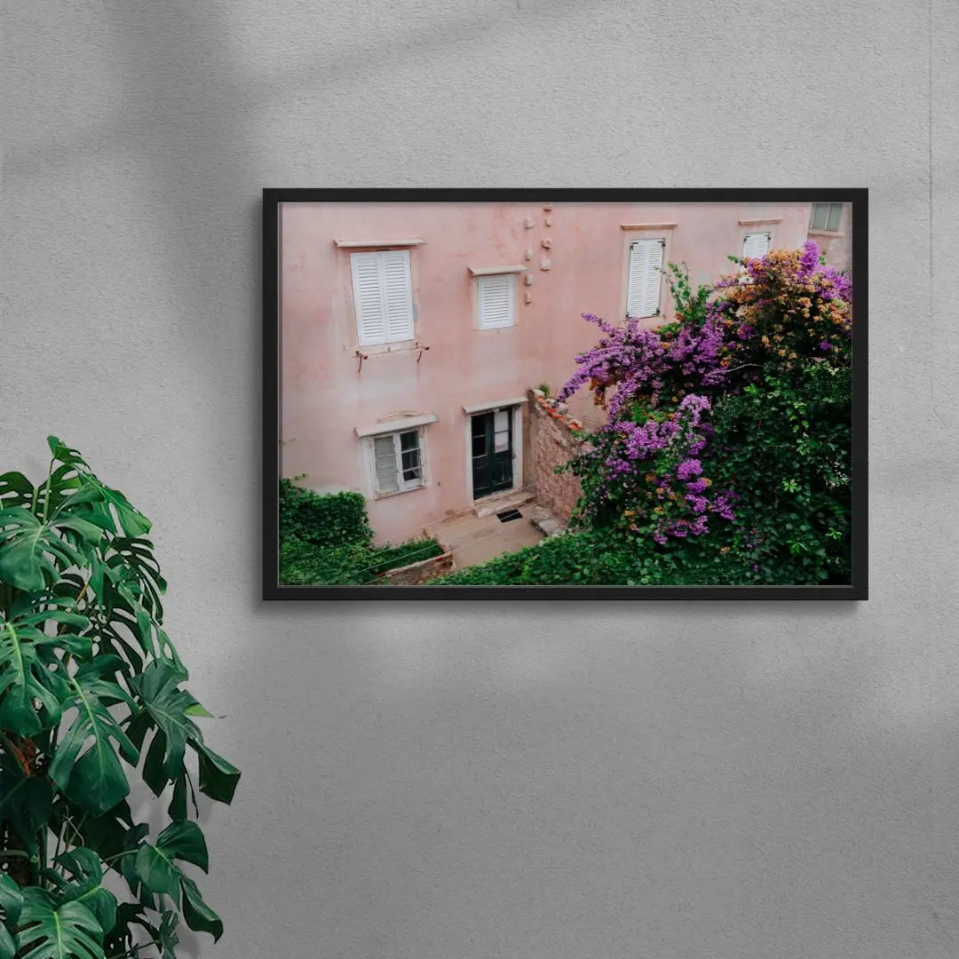 Pink Wall Bougainvillea contemporary wall art print by Sam Rouda - sold by DROOL