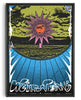 Load image into Gallery viewer, Weird visions contemporary wall art print by Jorge Santos - sold by DROOL