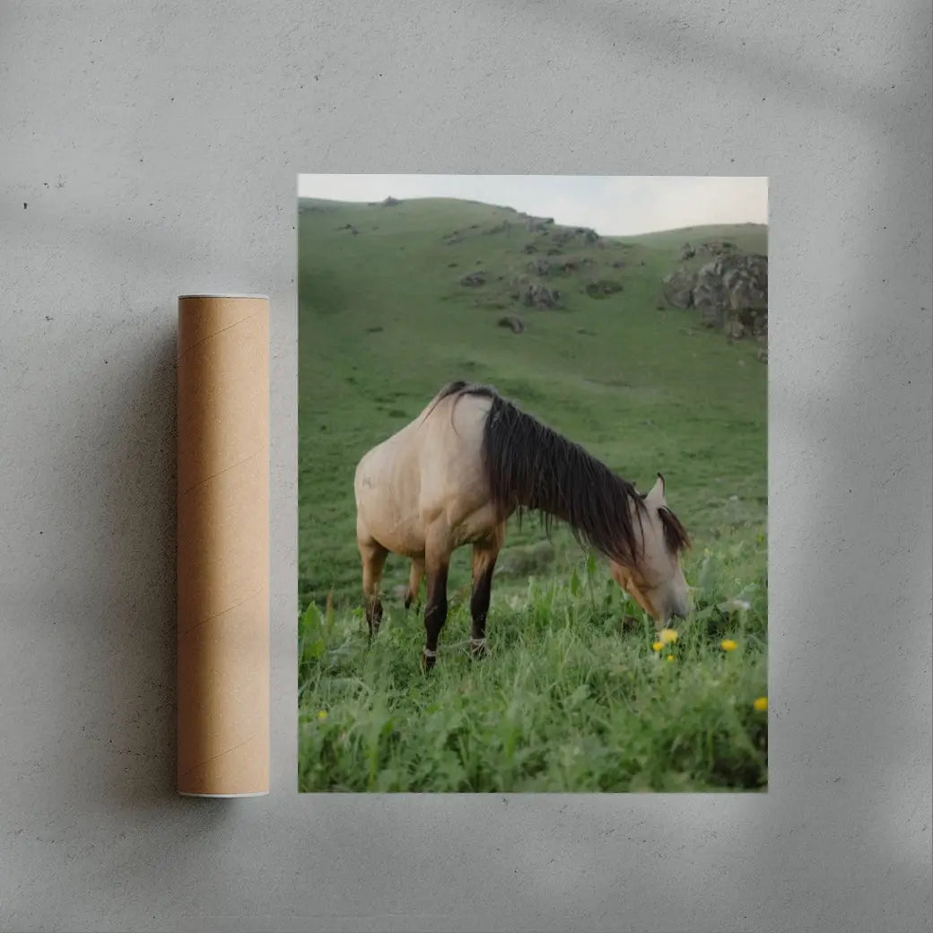 GRAZE contemporary wall art print by Megan Rogers - sold by DROOL