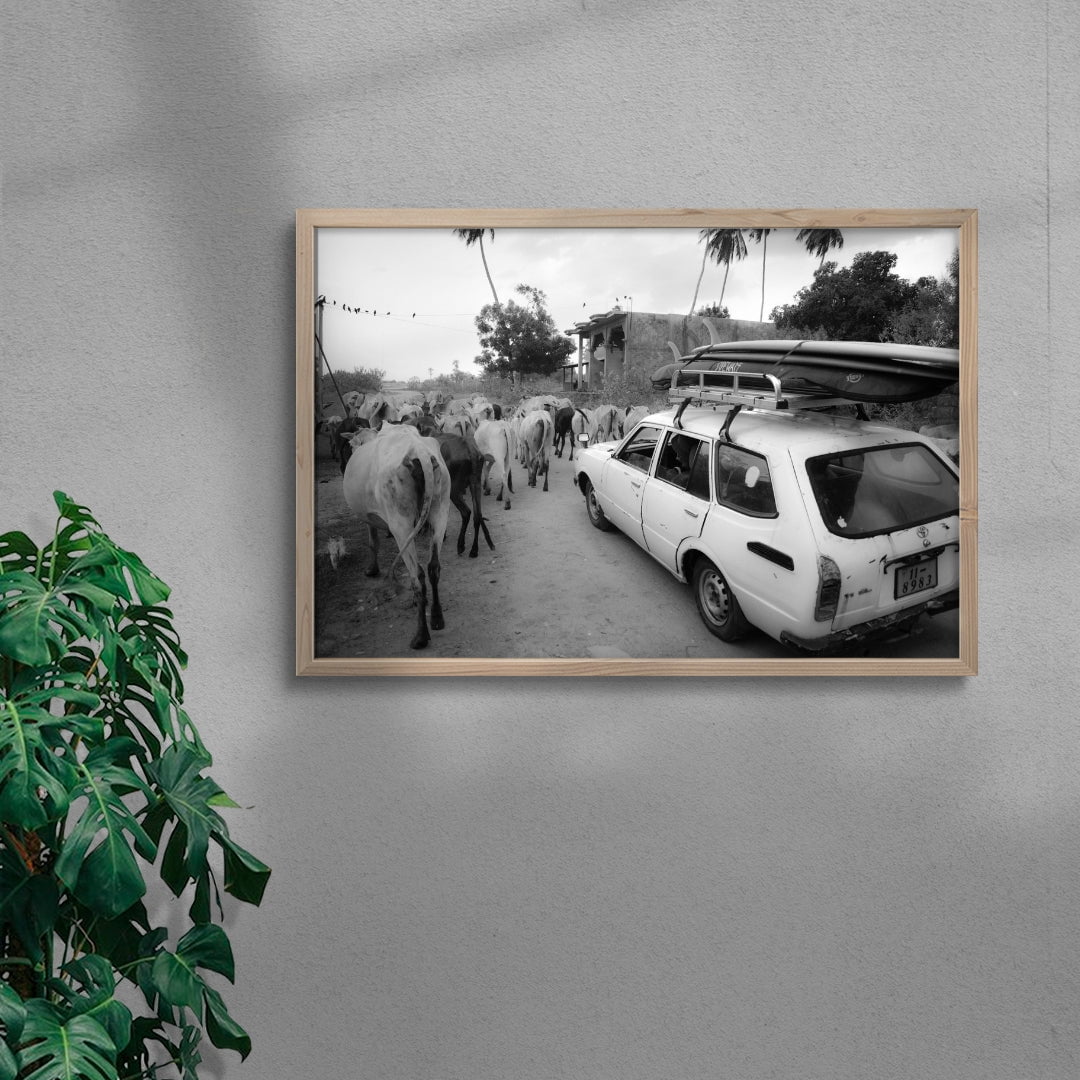 Jungle Traffic contemporary wall art print by la_malinde - sold by DROOL