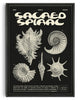 Cargar imagen en el visor de la galería, Sacred Spiral contemporary wall art print by Coveposter - sold by DROOL