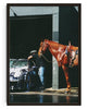 Load image into Gallery viewer, HORSEWASHING contemporary wall art print by Ces XC - sold by DROOL