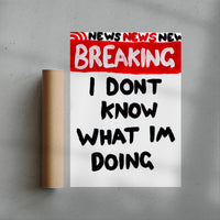 Thumbnail for I Dont Know What Im Doing contemporary wall art print by Times New Roadman - sold by DROOL