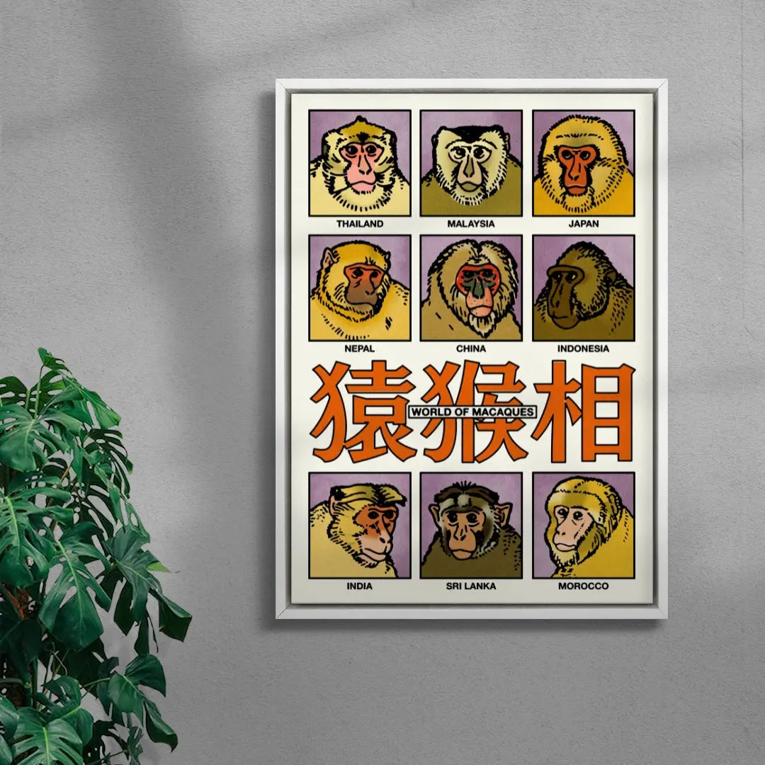 World of Macaques