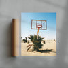 BALL IS LIFE contemporary wall art print by Ces XC - sold by DROOL