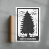 The Silence Of The Forest contemporary wall art print by Todd Pham - sold by DROOL