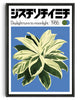 Bild in Galerie-Viewer laden, Dracaena contemporary wall art print by George Kempster - sold by DROOL